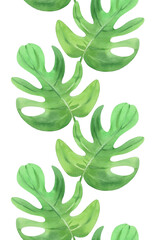 Seamless vertical border of a monstera leaves. Watercolor illustration. Handmade art work. For packaging design, cards, cover, prints, product labels and fabric © Nataliia