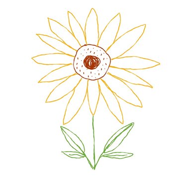 Line flower animation graphic