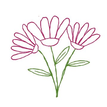 Line flower animation graphic