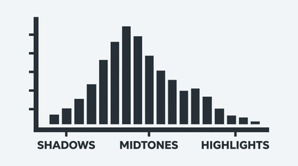 Fototapeta premium Histogram Graph Illustrating Shadows Midtones and Highlights for Analysis.