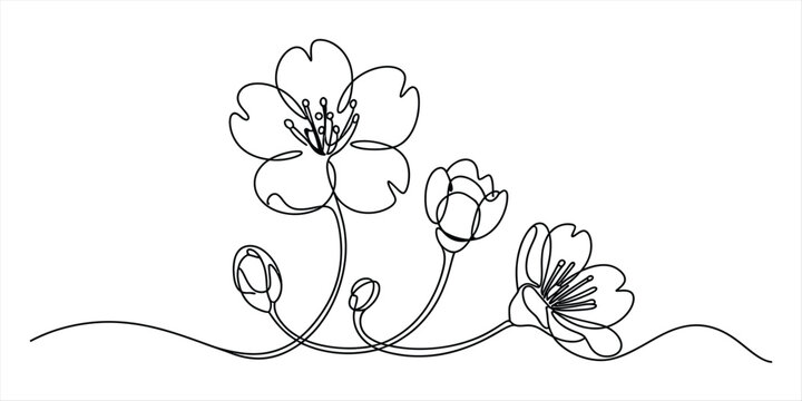 Elegant single line drawing of cherry blossom flowers and buds on a simple wavy line Vector, illustration