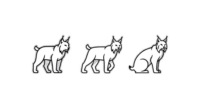Illustrated lynx animals in three different standing poses.