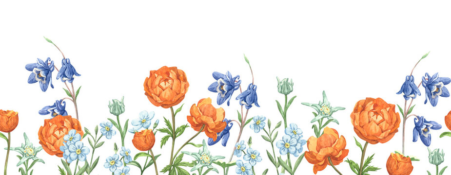 A vibrant seamless watercolor border featuring wildflowers and mountain flowers
