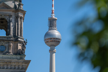 The Fernsehturm stands sharply beside Berlin Cathedral stonework with dark green leaves blurred in front. Blue sky and strong sunlight give a crisp urban travel mood. © Jakob