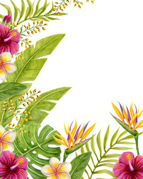 Tropical flowers corner frame. Floral tropics ornament. Watercolor painting with pink Hibiscus flowers and palm leaves. Tropic summer composition.