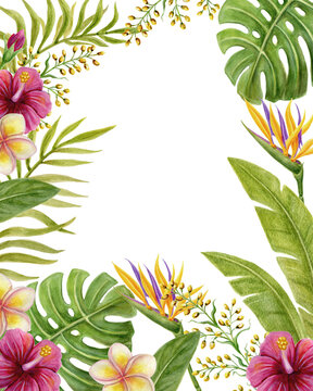 Tropical flowers frame. Floral tropics ornament. Watercolor painting with pink Hibiscus flowers and palm leaves. Tropic summer composition.
