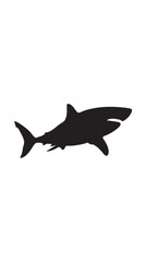 Fototapeta premium shark vector illustration