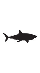 Obraz premium shark vector illustration 