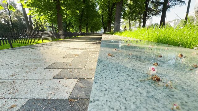 Chestnut blossoms fall gently onto a smooth granite ledge and paved park path. A light breeze sweeps through the green trees, resulting in the soft rustling sound of leaves and city birds.