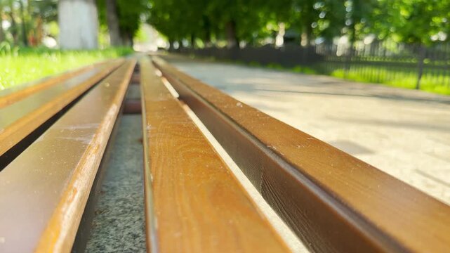 Smooth wooden bench slats stretch out next to a wide stone-paved walkway in the morning sun. The peaceful park alley is enveloped by a continuous, low hum of distant city traffic.