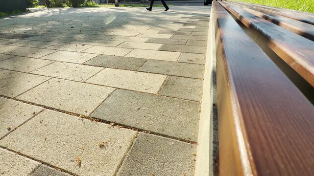 Polished wooden bench slats run alongside a modern stone-paved walkway in the morning sun. The calm urban scene is surrounded by a low, continuous hum of distant city traffic.