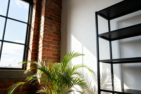 Sunlit indoor corner with large window, green potted plant, exposed brick wall, and empty black metal shelving unit
