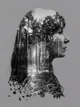 Double exposure of profile silhouette and pine forest