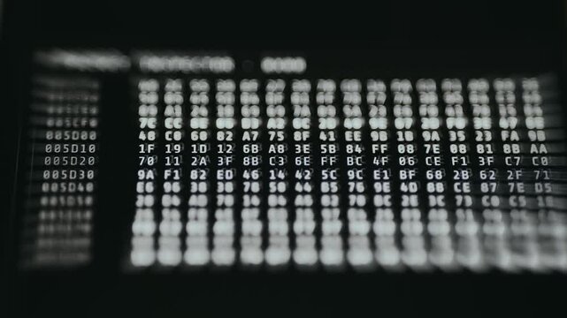 Hex dump, representation of computer file data in hexadecimal format