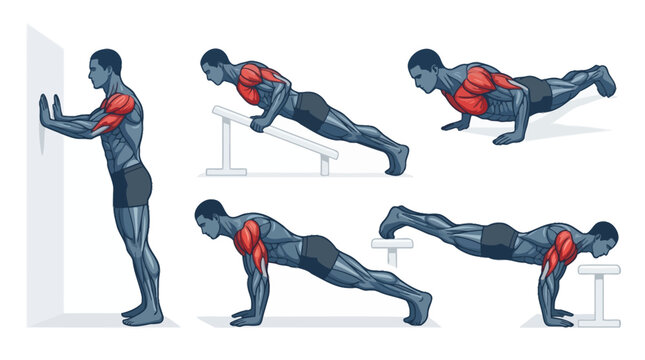 Vector Icons Anatomical illustration of push up exercise variations showing active chest and arm muscles. EPS Editable