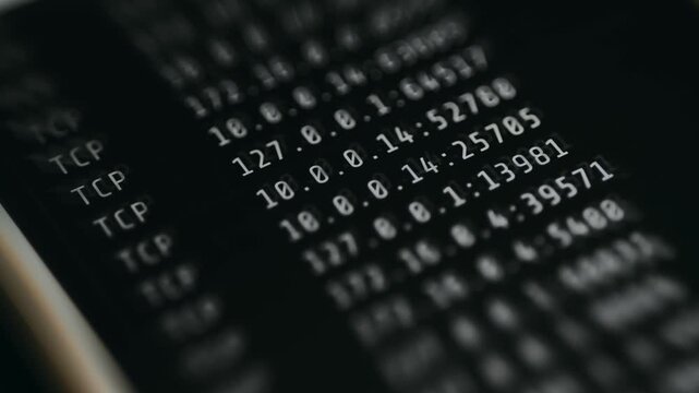 List of active network connections displayed in a command-line interface