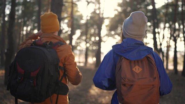 two hiker work as a team. with backpacks walking in winter in a forest park in the sunny glare at sunset sun. Two tourists travel hiking in forest park, overcoming difficulties, teamwork concept