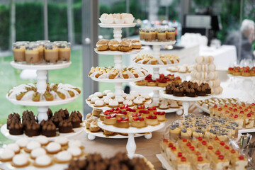 Fototapeta premium Assortment of delicious miniature desserts and pastries beautifully arranged on tiered stands at a celebratory event