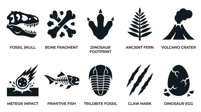 Geometric flat silhouette icon set of dinosaur fossils and ancient symbols  fossil skull  bone fragment  dinosaur footprint  ancient fern  volcano crater  meteor impact icon  primitive fish skeleton  