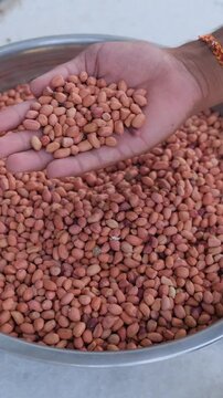 Close-up of a hand holding a handful of raw peanuts over a large bowl full of peanuts