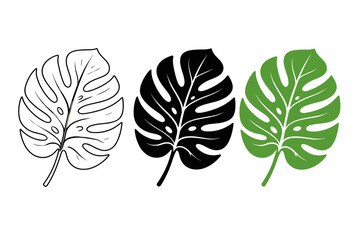 Minimal monstera leaf vector icons in black and green, tropical botanical silhouette symbols for branding and packaging © StockSphere