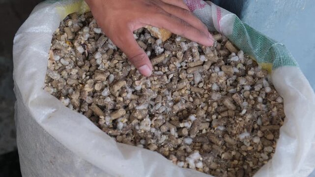 Close-up of a hand inspecting cattle feed pellets in a storage sack