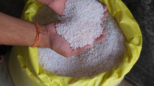 Close-up of hands scooping white granular urea fertilizer from a yellow storage bag