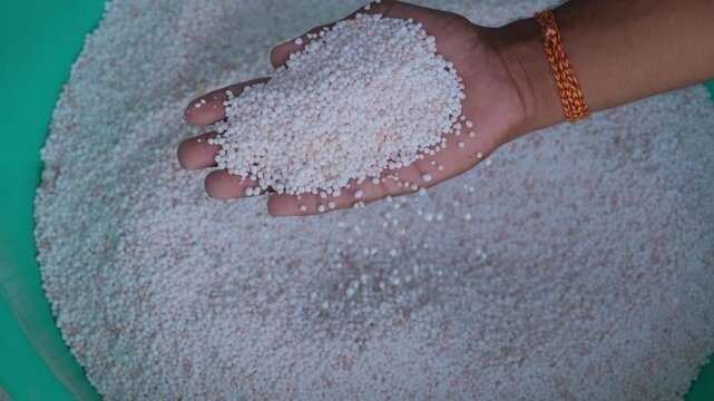 Close-up of a hand holding and inspecting white granular urea fertilizer in a green plastic bowl
