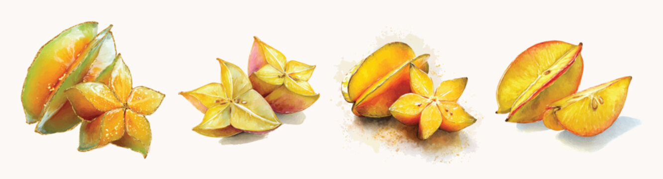 Simple Design drawing, Beautiful halved carambola starfruit set painting design set. Hand-painted style, vectorized, vector set available in EPS. Adobe Illustrator Artwork