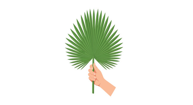 Hand holding large green tropical palm leaf isolated.