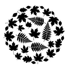 Fototapeta premium Black and white leaf silhouettes arranged in a circular decorative pattern