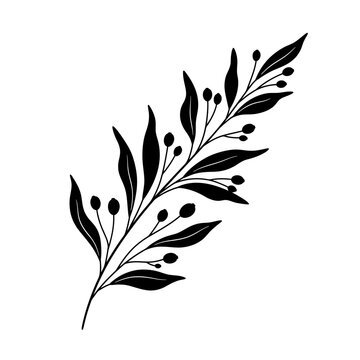 Elegant black and white botanical branch with leaves and berries illustration