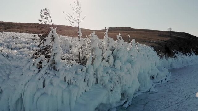 Icecovered Plant Details. Detailed View Of Icy Vegetation And Desolate Terrain Under Low Winter Sun