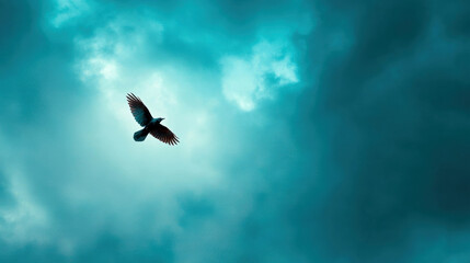 Fototapeta premium Bird soaring through a cloudy sky with dramatic lighting, wings spread wide against a backdrop of dark and light blue clouds