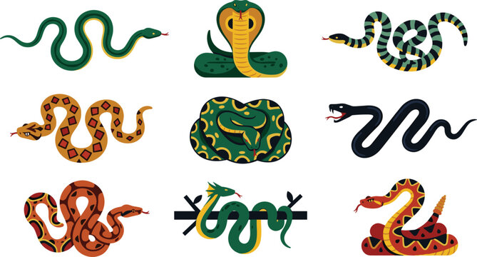 Snake Illustration Collection Featuring Cobras, Pythons, Vipers, and Colorful Reptile Vector Wildlife Designs