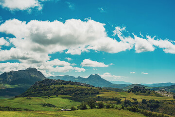 Fototapeta premium Rolling grass fields with trees and steep mountains on the horizon under blue sky with some clouds. Andalusia, Spain.