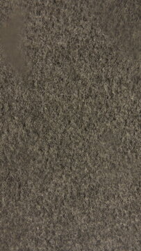 Texture-Background-Abstract-Blur-Structure-Pattern