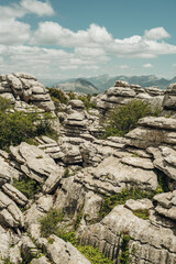 Eroded grey steep rock formations with some vegetation under a blue sky with some clouds. National Park of El Torcal de Antequera, Andalusia, Spain. © ysbrandcosijn