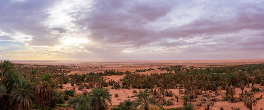 Timimoun oasis in Algeria