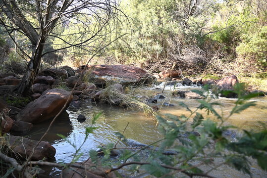 A stream at a hike near Muningi Gorge in Cullinan, South africa.