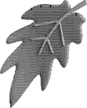 Oak leaf shape with lobes and stem, rendered in black and white on checkered backdrop.