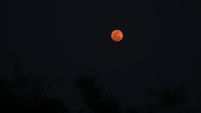 The 2026 Pink April's full moon, the first full moon of spring, is appearing as a "micro moon" because it coincides with its farthest point from Earth (apogee), making it look slightly smaller.