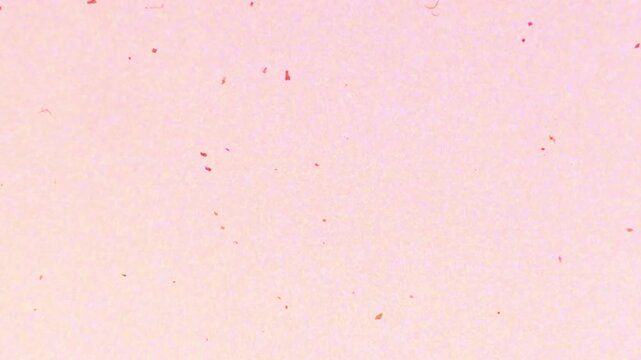 dirty or aging film frame. Dust particle and dust grain texture or dirt overlay