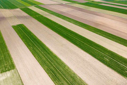 Aerial view of colorful striped agricultural fields with green and brown geometric patterns in the rural landscape of Zuromin, Masovian Voivodeship, Poland.