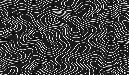 Obraz premium Abstract Topographic Contour Lines Vector Illustration Design in Black and White with Flowing Organic Map Pattern for Modern Minimal Background, Geographic Terrain Line Art Texture.