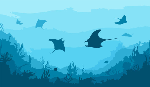 Manta rays swimming underwater vector background
