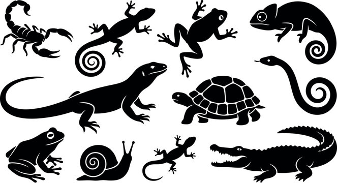 Reptile silhouette vector set with lizard frog turtle snake alligator black icons isolated on transparent checkered background
