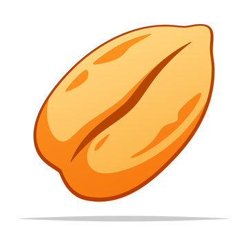 Single wheat grain vector isolated illustration