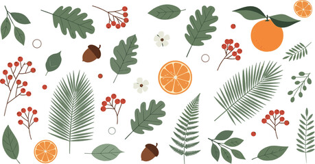 Autumn botanical vector set with leaves, orange slices, berries, acorns and forest foliage illustration © Mst