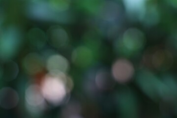 Blurry bokeh background with green foliage and soft light © M Halim Abduh